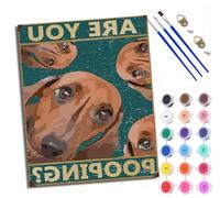Paint by Numbers for Adults Sausage Dog Cover Painting by Numbers for Adults DIY Canvas Kits Crafts Kits for Relax and De-Stress Gift Home Decoration with Frame