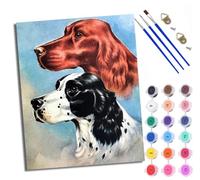 Paint by Numbers for Adults Setter and Spaniel Painting by Numbers for Adults DIY Canvas Kits Crafts Kits for Relax and De-Stress Gift Home Decoration with Frame