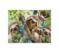 Paint by Numbers for Adults，Sloth selfie，DIY Oil Painting Kits for Adults Kids without Frame with Brushes and Acrylic Pigment Paint by Numbers Canvas Arts Crafts for Home Wall Decor(30x40cm）-A36