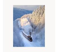 Paint by Numbers for Adults, Snow Scene Painting by Numbers for Adults, Craft Kits for Kids with Train Color Canvas for Painting 16 x 22 Inch Acrylic Paint and Brush for Living Room Decor FYH-4724