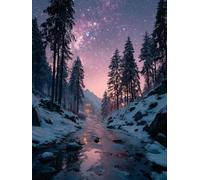 Paint by Numbers for Adults Snow Scene, Starry Sky DIY Paint by Numbers Kits, Acrylic Painting Adult Crafts with Brushes and Acrylic, Arts and Crafts Canvas for Beginners Kits, Gifts, 40x54in S-5459