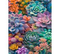 Paint by Numbers for Adults Succulent - Adult Paint by Numbers Kits for Beginner, Succulent Plant DIY Acrylic Oil Adult Painting by Number Canvas Kits, Perfect for Home Wall Decor 16X20 Inch