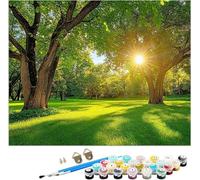 Paint by Numbers for Adults Sun Oil Painting Landscape Paint by Numbers for Children Beginner DIY Color Acrylic Paintings Hobbies for Adults Women 3 Brushes for Home Wall Room Decor, 50x70cm, Model101