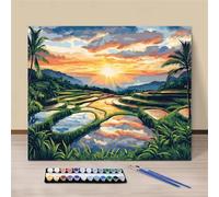 Paint by Numbers for Adults Terraced Fields, Painting by Numbers Kits on Canvas, Easy DIY Sun Acrylic Pigment Drawing Paintwork for Home Wall Decor, 30x40cm Frameless