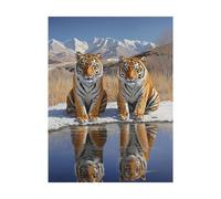 Paint by Numbers for Adults Tiger Paint by Numbers Kits Lake, DIY Hobbies for Adults Women Art Supplies 28x38 in, Wall Art Crafts Color Canvas for Painting, Gifts for Women and Home Decor 2YH-13824