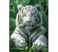Paint by Numbers for Adults Tiger, Plant Paint by Numbers Kits, DIY Color Oil Painting Adult Crafts, Painting Kits with Brushes and Acrylic, for Home Wall Decor, Gifts for Women, 16x20in O-8067