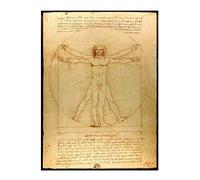 Paint by Numbers for Adults Vitruvian Man by Leonardo DaVinn ci Adults Paint Kits Canvas Gifts Arts Crafts for Home Decor
