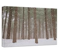 Paint by Numbers for Adults Winter, Snow Scene Adult Paint by Numbers Canvas Kits Arts and Crafts Kit DIY Color Oil Painting Acrylic Paints with 3 Brushes for Gifts Home Wall Decor 18x24 Inch,Model803
