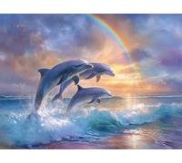 Paint by Numbers for Adults with Frame, Dolphin Painting by Numbers for Children, DIY Color Canvas Oil Painting Kits Art Crafts Rainbow Acrylic Pigment Drawing Paintwork for Home Decor 8x12 in Q-6782