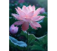 Paint by Numbers for Adults with Frame, Lotus Painting by Numbers for Children, DIY Color Canvas Oil Painting Kits Art Crafts Pink Acrylic Pigment Drawing Paintwork for Home Decor 28x36 inch Q-4748