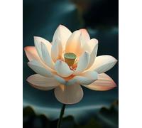 Paint by Numbers for Adults with Frame, Lotus Painting by Numbers for Children, DIY Color Canvas Oil Painting Kits Art Crafts Flower Acrylic Pigment Drawing Paintwork for Home Decor 28x36 inch Q-4768