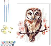 Paint by Numbers for Adults with Frame Owl Painting by Numbers for Adults Flower, Easy DIY Oil Painting Kit with Acrylic Pigment and Brushes, Hobbies for Adults Women, Room Decor Gifts 40x50cm R-1228
