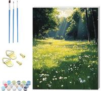 Paint by Numbers for Adults with Frame Sunlight Painting by Numbers for Adults Landscape, Easy DIY Oil Painting Kit with Brushes, Hobbies for Adults Women, Room Decor, Gifts for Women 20x30cm I-2265