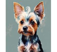 Paint by Numbers for Adults Yorkshire Terrier Dog DIY Oil Painting Gift Kits with Digital Painting Set Canvas Art Home Decoration,40x50cm,No Frame
