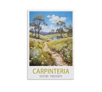 Paint by Numbers for AdultsCarpinteria Nature Preserve Posters,Children, Beginners, DIY Gift Arts Kits with Brushes and Acrylic Pigment 40x50cm