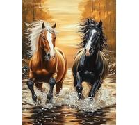 Paint by Numbers for Children Horse Painting by Numbers for Adults Animal Beginners, DIY Craft Art Painting Kit, Color Oil Acrylic Pigment Drawing Paintwork for Home Decor (Without Frame) 40x50cm