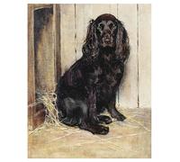 Paint by Numbers for Teens Paint by Numbers Kits Springer Spaniel Dog DIY Painting by Number Kits Oil Paint Drawing Canvas Home Decor Gift,40x50cm