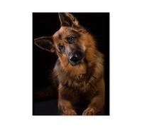 Paint by Numbers,German Shepherd Dog,Landscape Kit for Adults Beginner DIY Oil Painting(20x30cm) 7.8x11.8 inches-A62
