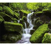 Paint by Numbers Green Jungle Rivers,DIY Paint by Numbers Kits for Adults Kids,Canvas Oil Painting with Brushes and Acrylic Pigment Paint by Numbers Arts for Home Wall Decor 22x28in,without Frame