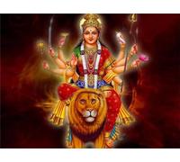 Paint by Numbers,Indian God Lion Paint by Numbers for Adults Canvas Oil Painting,DIY Paint by Numbers for Children with Paint Brushes and Acrylic Painting Kit Home Decor Painting with Frame,20x26 in