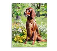 Paint by Numbers Irish Setter dog for Adults Beginners DIY Acrylic Painting Gift Kits Drawing Paintwork with Paintbrushes 20x24inch(50x60cm) Frameless