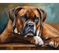 Paint by Numbers Kit Digital Painting Boxer Dog DIY Oil Painting Drawing Canvas with Brushes Decorations Gifts 40x50cm Frameless