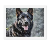 Paint by Numbers Kit for Adults Beginner, 30x40cm DIY Adult Paint by Number Kits on Canvas, Black German Shepherd Dog Watercolor Oil Number Painting for Adults, Perfect for Home Decor Gift