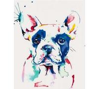Paint by Numbers Kit for Adults,DIY Acrylic Oil Painting Kits for Wall Art Decor Gifts,40x50cm，Colorful Watercolor Dog French Bulldog,Frameless
