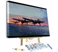 Paint by Numbers Kit for Adults - Fighter War Airplane Framed and Easel,Adults Paint by Number Kits for Beginners On Canvas,