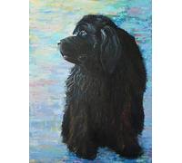 Paint by Numbers kit Newfoundland Dog for Kids Adults Beginner Drawing with Brushes Christmas Decor Decorations Gifts