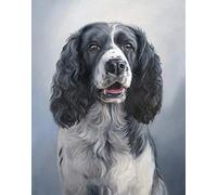 Paint by Numbers kit Springer Spaniel Dog with Brushes and Acrylic Pigment DIY Canvas Painting for Adults Beginner Still Life
