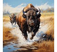Paint by Numbers Kits,40Cm X 40Cm,DIY Acrylic Painting for Adults and,with Paints Brushes and Card Sized Magnifier,Wild African Buffalo Portrait Abstract Graffiti,with Frame