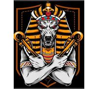 Paint by Numbers Kits,40cm x 50cm,DIY Acrylic Painting for Adults and,with Paints Brushes and Card Sized Magnifier,Egyptian God Anubis Wadjet,Frameless