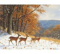 Paint by Numbers Kits Autumn 30x50cm Large Paint by Numbers for Adults or Beginner Deer,DIY Oil Painting Art with Paintbrushes and Acrylic Pigment,Hobbies for Women Adults Crafts Without Frame E1-1332