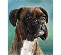 Paint by Numbers Kits Boxer Dog Colorful Cute Pet Dog Paint by Numbers for Adults and Kids DIY Oil Painting Gift Kits
