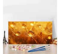 Paint by Numbers Kits for Adults Abstract Paint by Numbers Kits on Colored Canvas, Without Frame DIY Craft Art Oil Painting Dreamcatcher Acrylic Pigment Paintwork Kit Home Decor, Gifts 40 x 90 G8-719