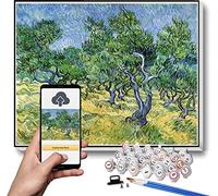 Paint by Numbers Kits for Adults and Kids Olive Grove Painting by Vincent Van Gogh Paint by Numbers Kit for Kids and Adults 50X75CM