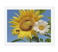 Paint by Numbers Kits for Adults, DIY Beginners Paint by Number Kits on Canvas, Bees Sunflowers Daisy Rose Flowers Digital Oil Number Painting, Easy Canvas Art Print Kit for Home Decor Gift 30x40cm