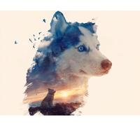 Paint by Numbers Kits for Adults & Kids, DIY Abstract Wolf Acrylic Oil Painting Set on Canvas with Brushes, Easy Relaxing Art Craft for Beginners, Home Wall Decor, Stress Relief Hobby 32x40inch A111