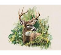 Paint by Numbers Kits for Adults & Kids, DIY Deer Animals Acrylic Oil Painting Set on Canvas with Brushes, Easy Relaxing Art Craft for Beginners, Home Wall Decor, Stress Relief Hobby 16x24inch A556