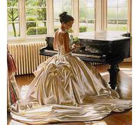 Paint By Numbers Kits For Adults Kids -Painting By Numbers Kids For Adults on Canvas Living Room Bedroom Art Deco Adult Kids Unique Gift -Abstract art oil painting Elegant woman and piano,40x40CM