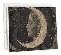 Paint by Numbers Kits for Adults Moon Painting by Number Kits On Canvas, DIY with Frame Color Oil Painting Acrylic Paints Canvas with Brushes and Accessories, Home Wall Decor 24x32 inch,Flower h-9667