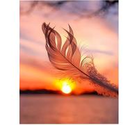 Paint by Numbers Kits for Adults,Painting by Number Kits On Canvas,DIY Color Oil Painting Acrylic Paints,Home Wall Decor 16x20in/40x50cm，Sunset Scenery Feather,Frameless