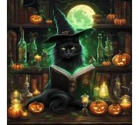 Paint by Numbers Kits for Adults,Painting by Number Kits On Canvas,DIY Color Oil Painting Acrylic Paints,Home Wall Decor 16X16In/40X40Cm，Magic Black Cat and Halloween,Frameless
