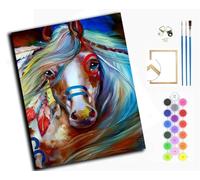 Paint by Numbers Kits for Adults,Painting by Number Kits On Canvas,DIY Oil Painting Acrylic Paints,Home Wall Decor 16x20in/40x50cm，Colorful Indian Tribal Horse,with Frame