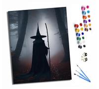 Paint by Numbers Kits for Adults Painting Kits for Beginners On Clear Symbols Colored Canvas Acrylic Pigment Drawing Paintwork for Home Wall Decor 16x20in With Frame Bruja en la niebla de vuelta