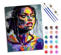 Paint by Numbers Kits for Adults Painting Kits for Beginners On Clear Symbols Colored Canvas Art Abstract Beauty Easy DIY Acrylic Pigment Drawing Paintwork for Home Wall Decor 16x20in with Frame