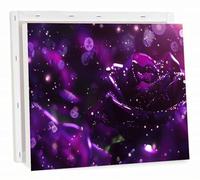 Paint by Numbers Kits for Adults Purple Painting by Number Kits On Canvas, DIY with Frame Color Oil Painting Acrylic Paints Canvas with Brushes and Accessories, Home Wall Decor 24x32 inch,Rose h-7767