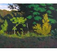 Paint by Numbers Kits for Beginner Edge of The Forest DIY Oil Painting Digital Kits on Canvas