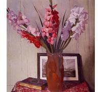 Paint by Numbers Kits for Beginner Still Life with Gladioli DIY Oil Painting Digital Kits on Canvas